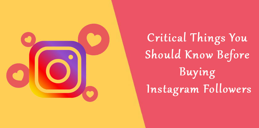 Critical Things You Should Know Before Buying Instagram Followers